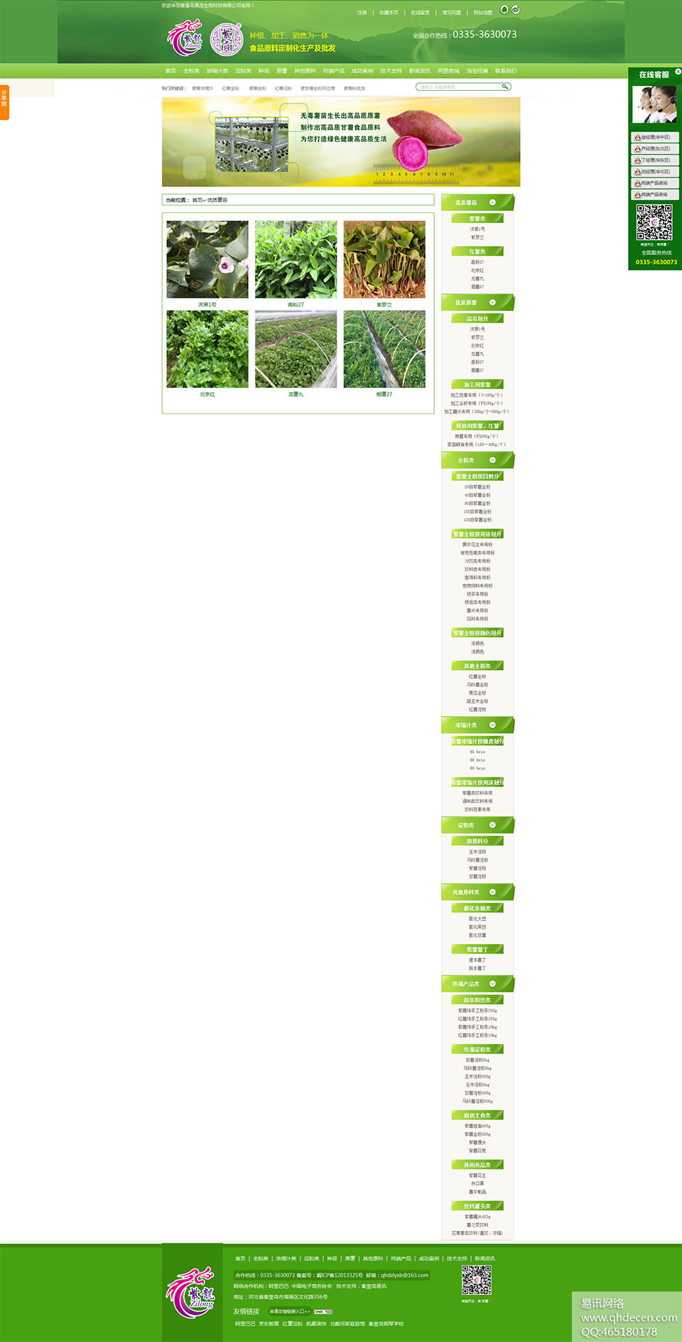 优质薯苗 优质薯苗